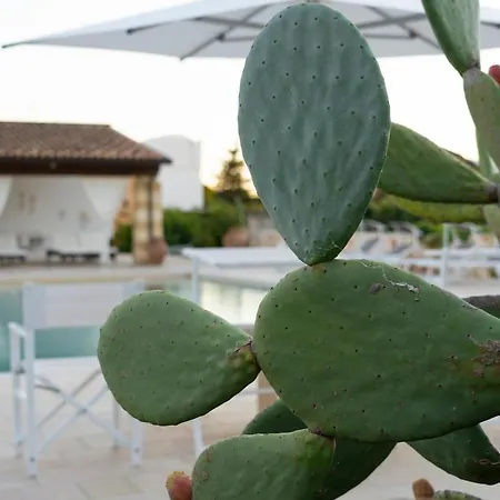 Masseria Tenuta Flora Maria *