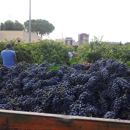 Masseria Tenuta Flora Maria Leverano